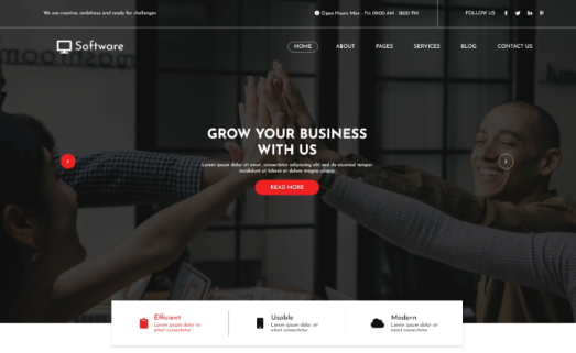 Software WordPress Theme
