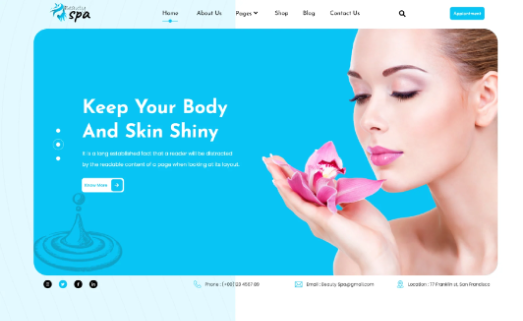 Spa WordPress Theme