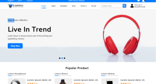 Ecommerce Store Elementor