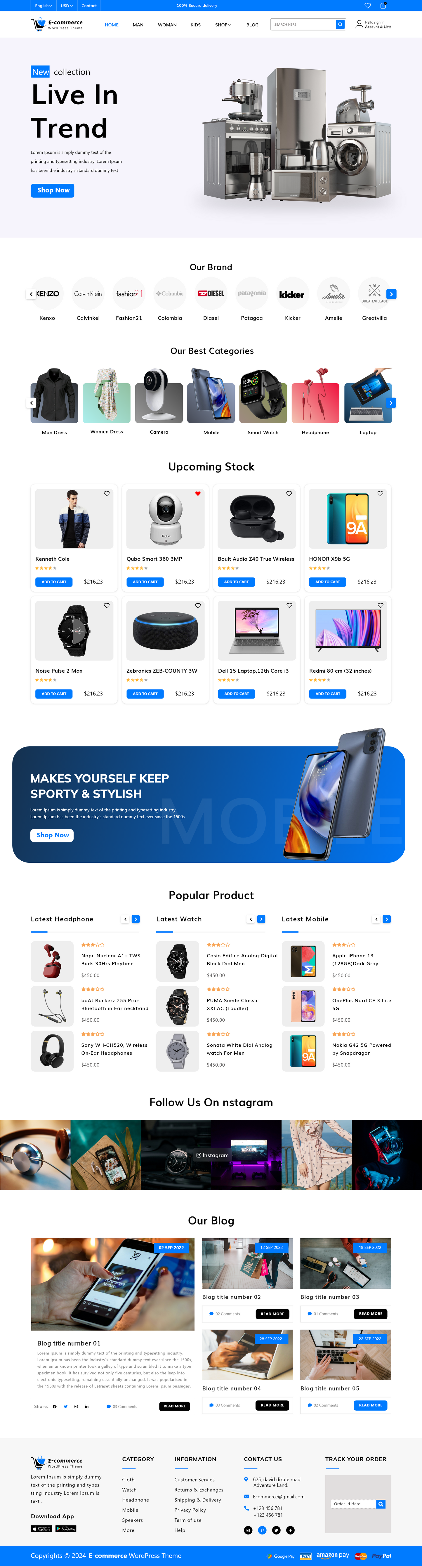 Ecommerce Store WordPress Theme