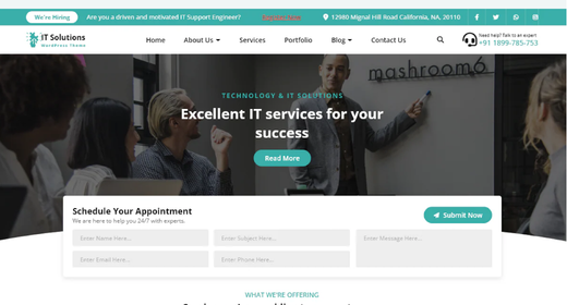 Software It Company