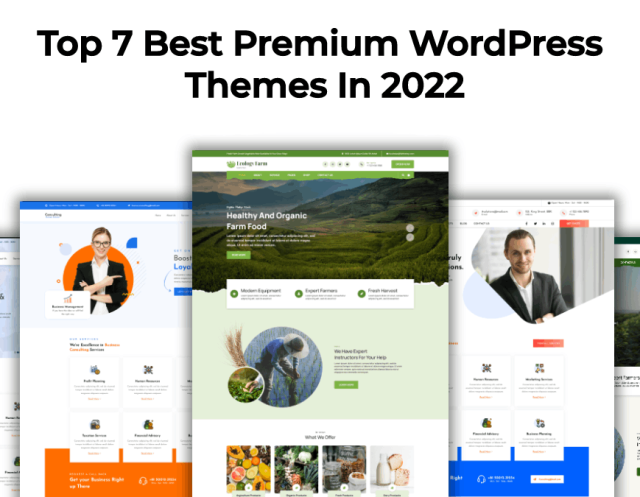 Premium WordPress Themes