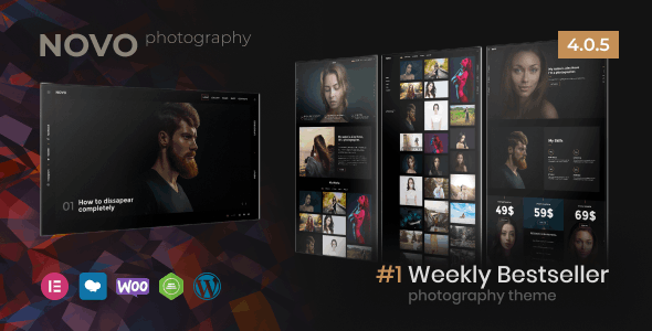 Photography WordPress Theme (Novo)