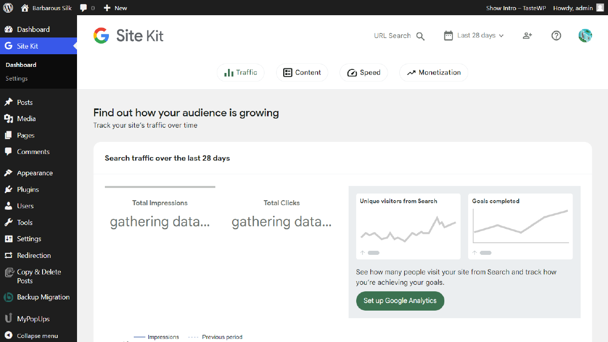site analytics and insights